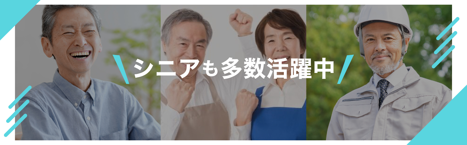 シニアも多数活躍中