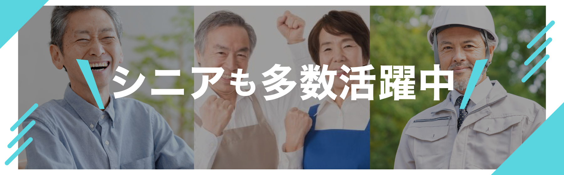シニアも多数活躍中